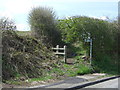 Footpath off Pelton Lane