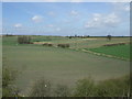 Farmland, Pelton Fell