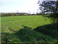 Footpath to Willow Marsh Lane