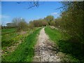 The Orange Way in Wiltshire (185)