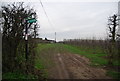 Bridleway through the orchards