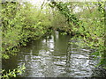 A backwater near Eton