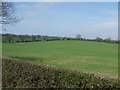 Farmland off Birkland Lane