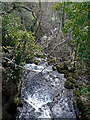 Wensley Brook