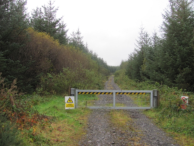 Logging road © Richard Webb cc-by-sa/2.0 :: Geograph Ireland