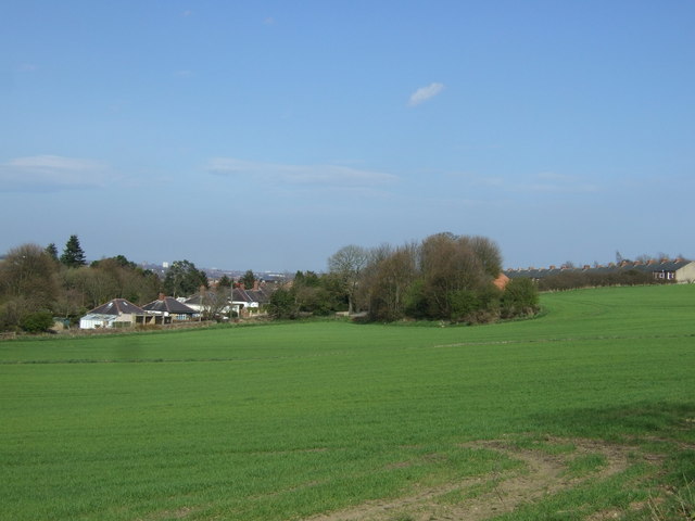Farmland off Maiden Lane