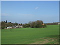 Farmland off Maiden Lane