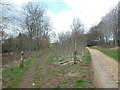 Fork left for the Cotswold Way