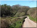 The valley at Patsford