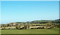 Farmland between the Dublin Road and the western dam of Lough Island Reavy