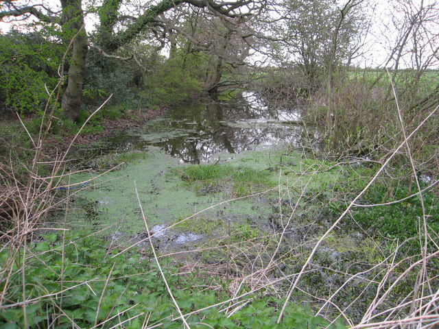 Pond beside footpath junction