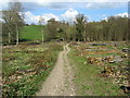 1066 Country Walk in Hoathybank Wood