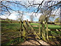 The Cotswold Way towards Jenkin