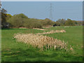 Field near Send Marsh