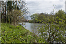 SJ6187 : The River Mersey from Victoria Park by Ian Greig