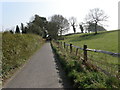 Chithurst Lane, by Holm Wood