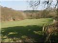 Small, grassy valley with woods