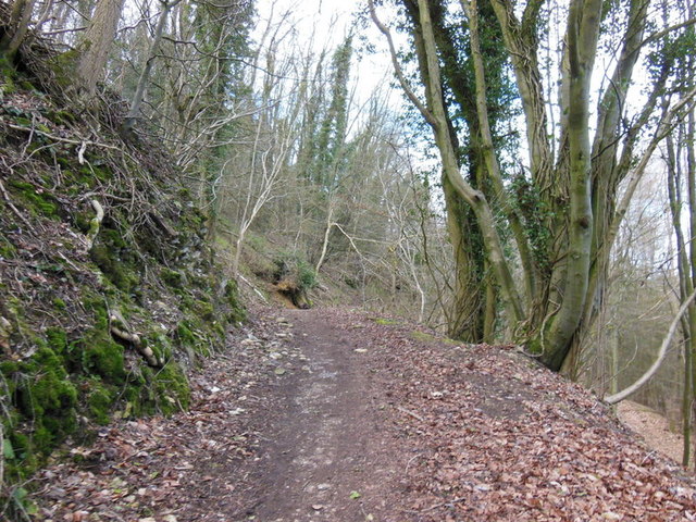 The Cotswold Way in Cliff Wood
