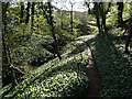 Footbridge near the River Bollin