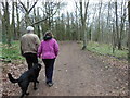 Dog walkers in Standish Wood