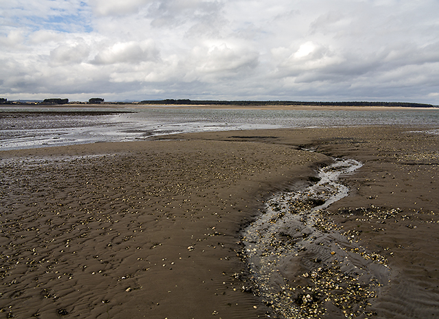 Eden estuary © William Starkey cc-by-sa/2.0 :: Geograph Britain and Ireland