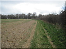 SE7173 : Kirk  Road  (Track)  to  Coneysthorpe  Bank  Wood by Martin Dawes