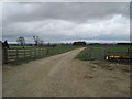 Track  north  from  Manor  Farm