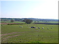 Countryside near Barrington