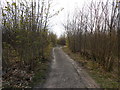 Woodland Track off North Folly Road