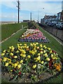 Kingsway flower beds Cleethorpes