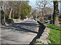 Looking down Mid Stocket Road