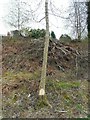 Embankment clearance