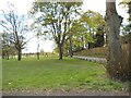 Pelsall Common Scene