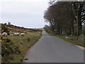 On the edge of the moor, south of North Brentor