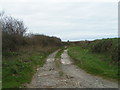 Bridleway heading off the road between Walkhampton and Yelverton