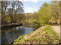 Moses Gate Country Park, River Croal