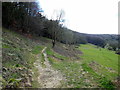 Cotswold Way at Stanley Wood