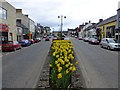 Irvinestown, County Fermanagh