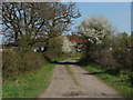 Footpath, Papercort Farm