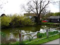TL3234 : Pond at Sandon by Bikeboy