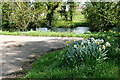 Pond at Lower Farm