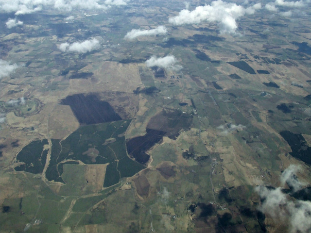 Deepsyke Forest from the air