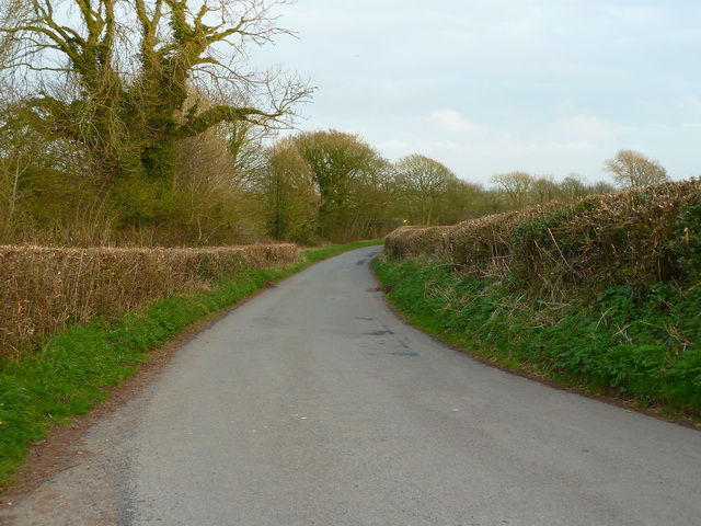 Greystone Lane