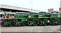 Line-up of vintage buses at Harlow bus station