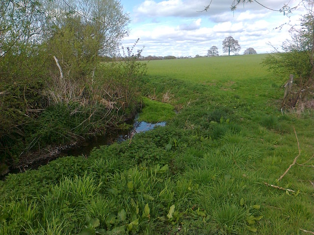 Clogged meander of stream feeding river Penk