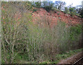 Colwick Woods: Mercia Mudstone