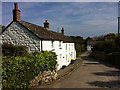 Cottages in Dolphin Town