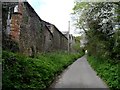 Looking up the lane towards Anstey, Great Hormead