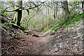 Bridleway from Cookley Green