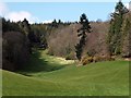 The upper part of Luscombe Park with primroses